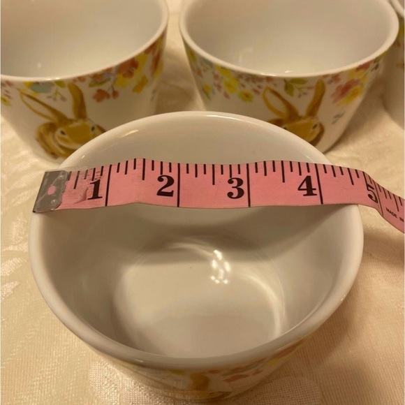 222 Fifth Sydney Easter Bunny Bowls. Set of 4. Never used. Only for Display. - Picture 4 of 4